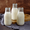 120 Serving Whey Milk Bucket